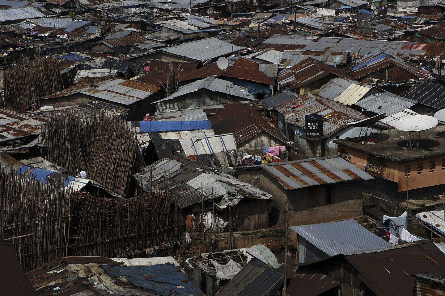 Garden inspired by Nairobi slums to take Bloom festival by storm
